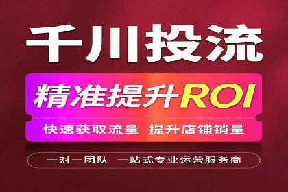 竞价广告的投放策略调整：基于数据反馈的实战案例